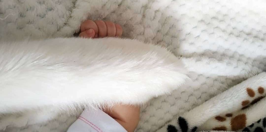 WhatsApp-Image-2020-08-19-at-9.00.08-PM